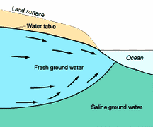 Scheme with
                                saltwater and groundwater 1, groundwater
                                is draining into the sea, and below is
                                saltwater groundwater