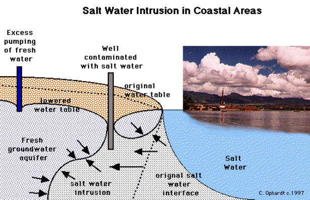 Scheme with saltwater
                        and groundwater 07: the groundwater well is
                        oversalted, and between the well and the
                        coastline a water blister has been formed