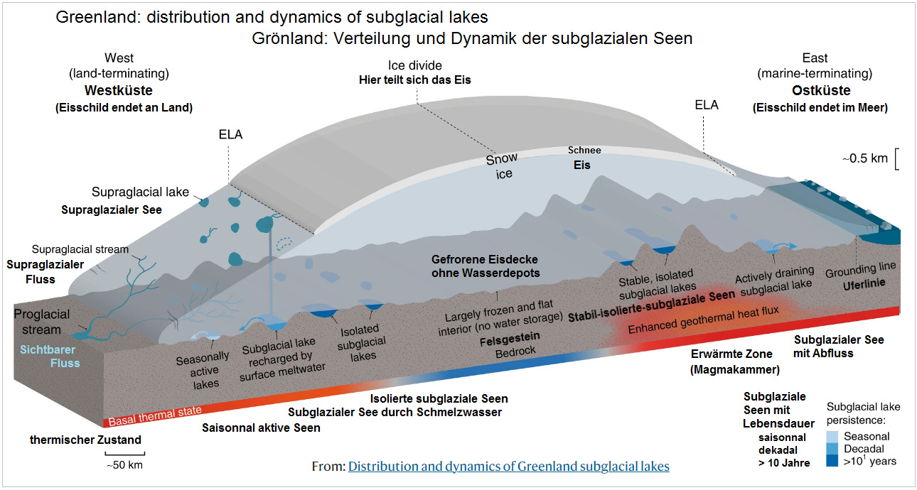 Stand Dezember 2021: Verteilung und Dynamik der
                  subglazialen Seen auf Grönland: Unter den Gletschern
                  von Grönland haben sich 6 Dutzend subglaziale Seen
                  gebildet - Grafik mit Querschnitt durch Grönland